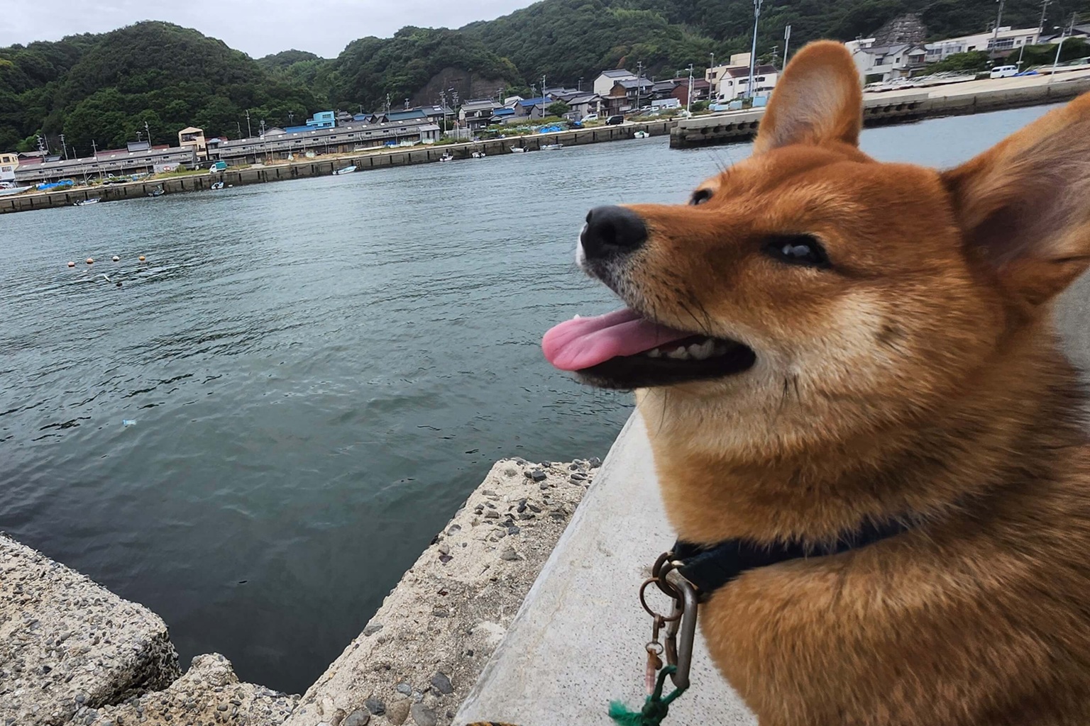 店舗写真